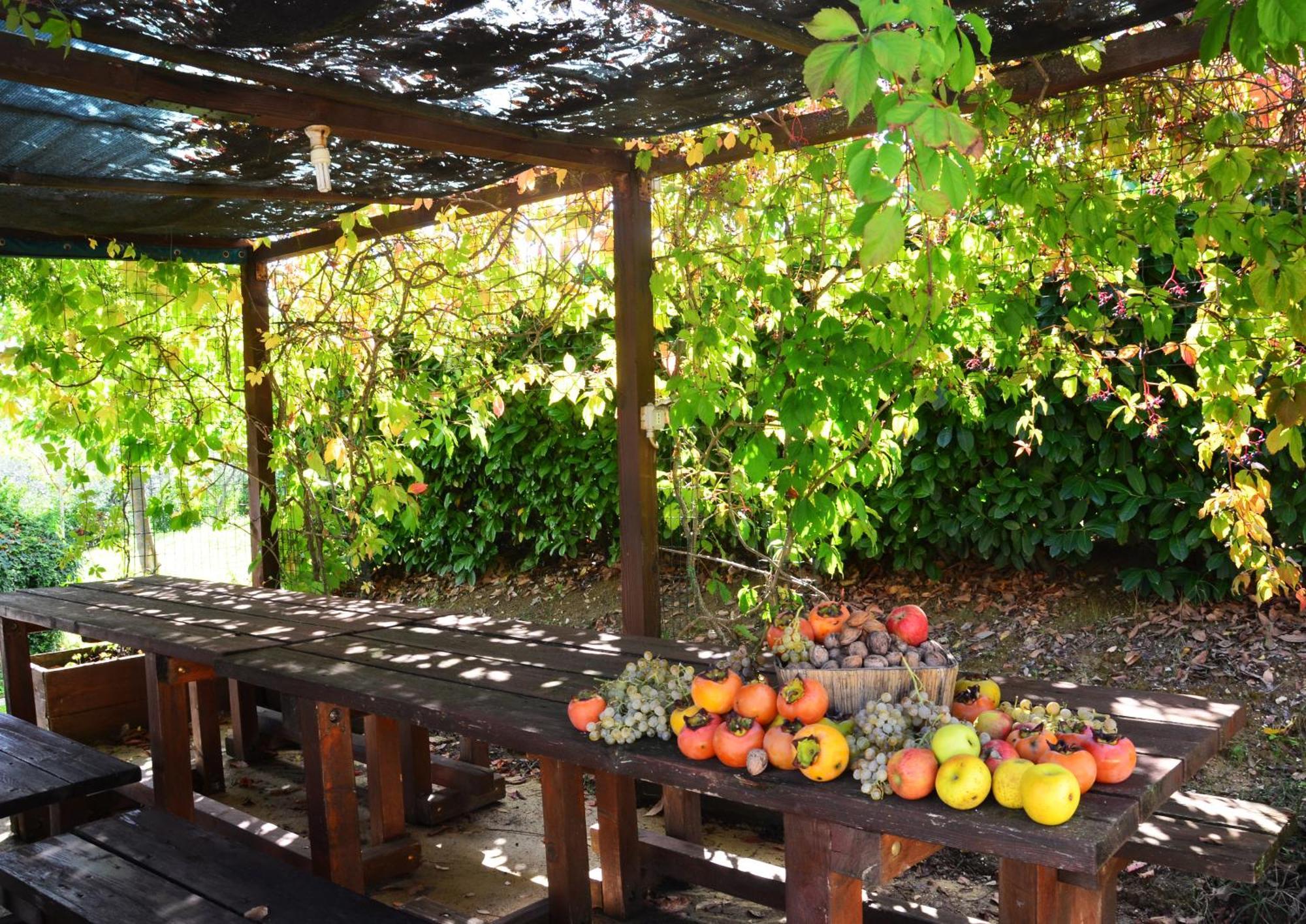 Country House Nonna Rana Cannara Екстер'єр фото